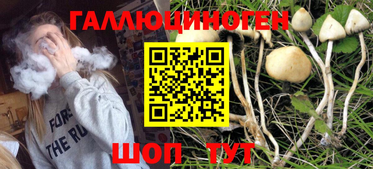 закладка  Псилоцибиновые грибы MAGIC MUSHROOMS  Вход с VPN  Усть-Илимск 